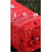 Bluetooth Колонка Remax RB-M12  Red